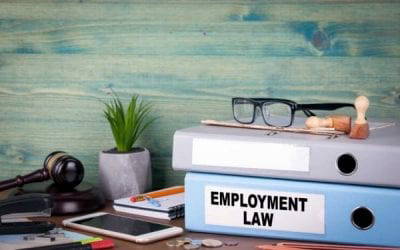 Employment Legislation 2019 and beyond.