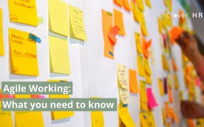 Agile Working: The Complete Guide to Employers