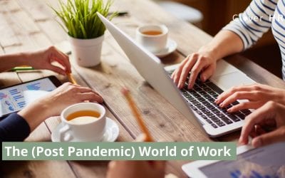 The (Post Pandemic) World of Work