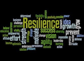 Bouncing Back – Resilience, Positivity and Coaching at Work