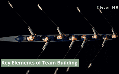 What are the key elements of team building?