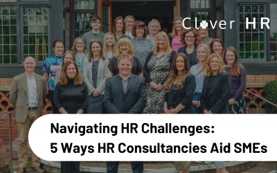 Navigating HR Challenges: 5 Ways HR Consultancies Aid SMEs